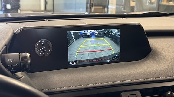 Lexus UX300e 25 of 30