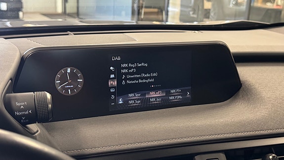 Lexus UX300e 21 of 30