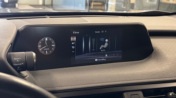 Lexus UX300e 24 of 30