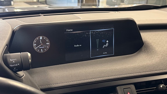 Lexus UX300e 22 of 30
