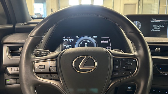 Lexus UX300e 13 of 30