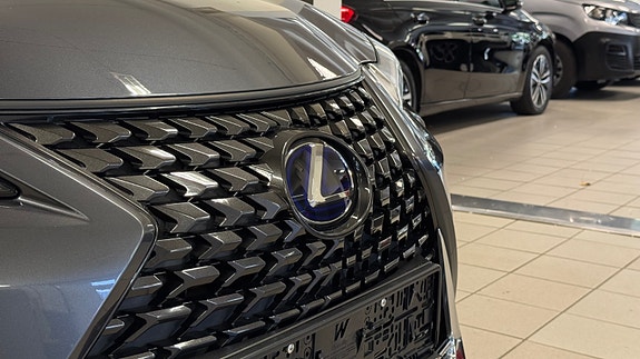 Lexus UX300e 9 of 30