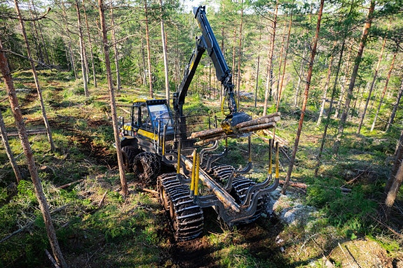 Bilde 6 av 7 i jobbannonse-galleriet