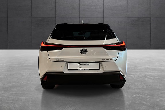 Lexus UX300e 4 of 20
