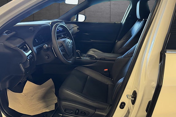 Lexus UX300e 19 of 20