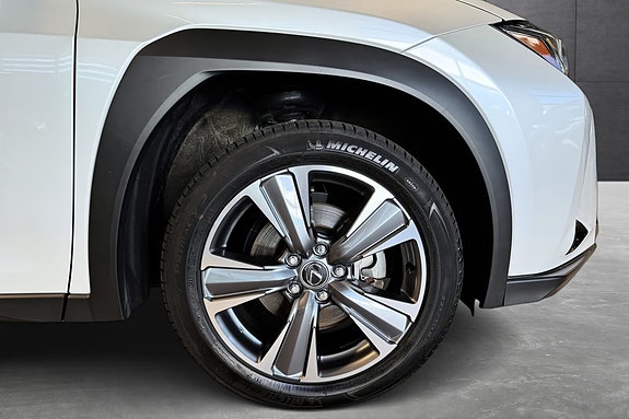 Lexus UX300e 14 of 20