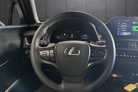 Lexus UX300e 20 of 20