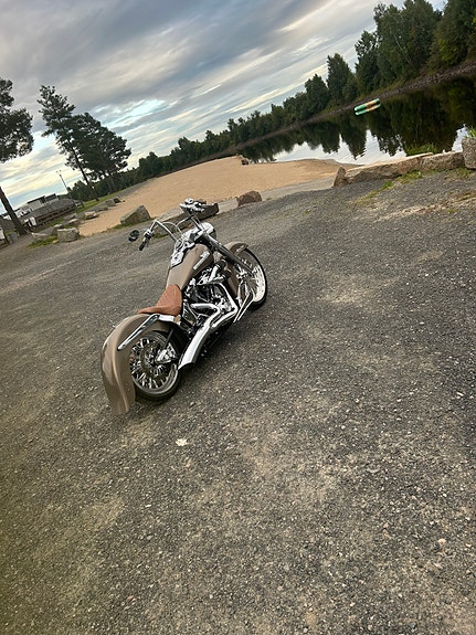 Harley-Davidson Fatboy 7 of 17