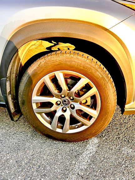 Lexus NX300h 16 of 16