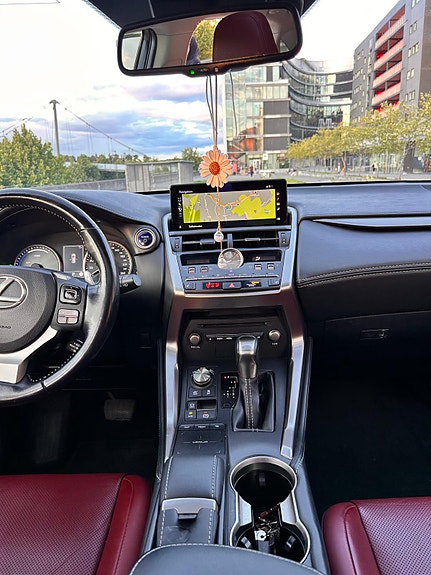 Lexus NX300h 9 of 16