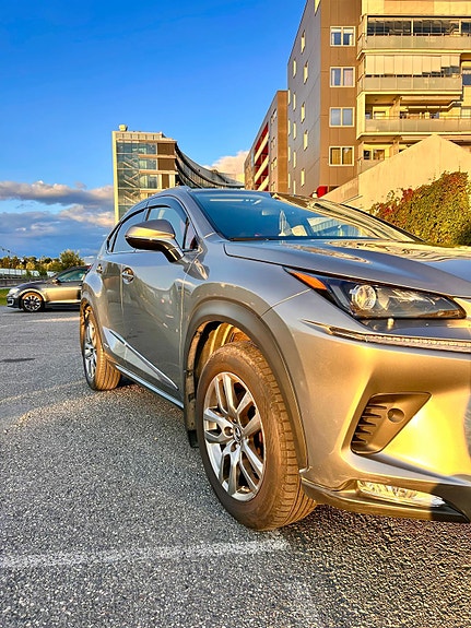 Lexus NX300h 6 of 16