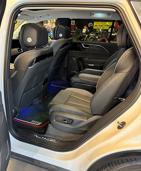 Hongqi E-HS9 6 of 9