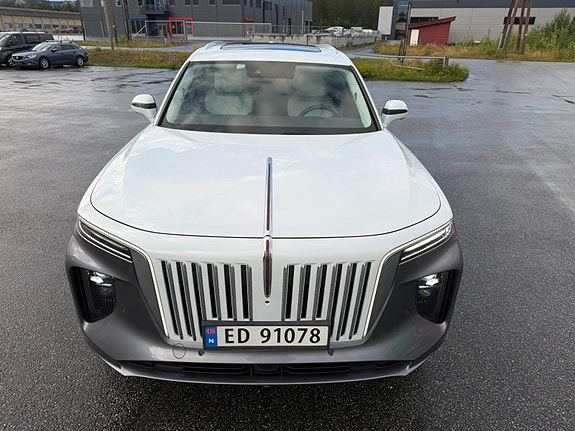 Hongqi E-HS9 13 of 30