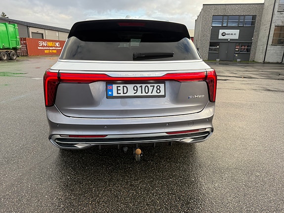 Hongqi E-HS9 6 of 30