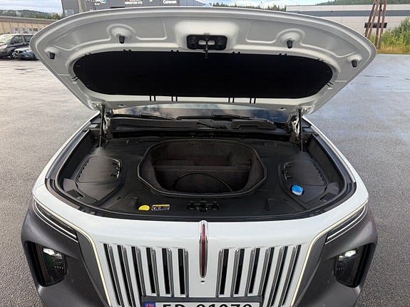 Hongqi E-HS9 26 of 30