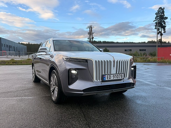 Hongqi E-HS9 14 of 30