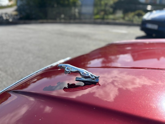 Jaguar XJ 21 of 30