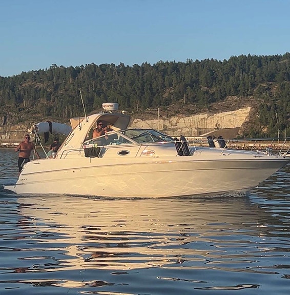 Sea Ray Sundancer 290 23 of 30