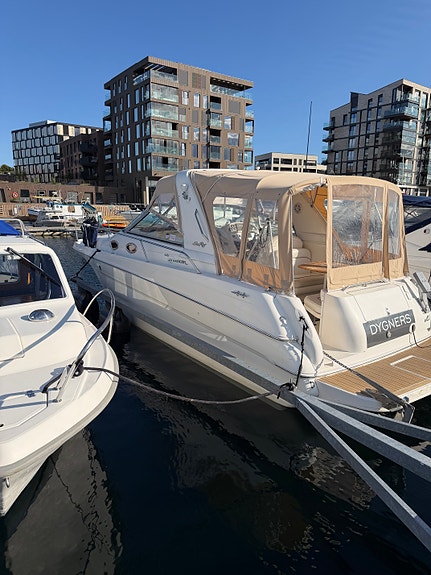 Sea Ray Sundancer 290 2 of 30