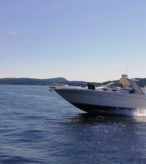 Sea Ray Sundancer 290 29 of 30