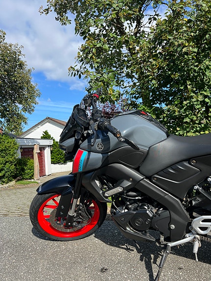 Yamaha MT-125 8 of 30