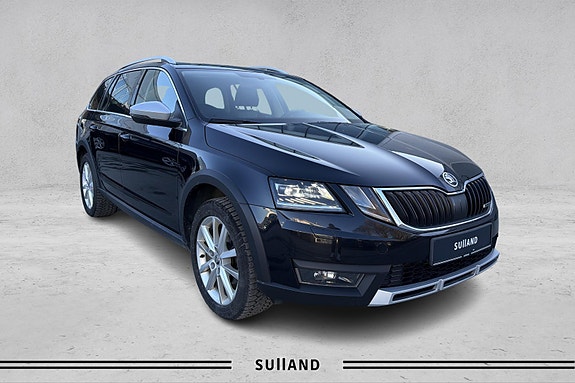 Skoda Octavia Scout - bilde 7