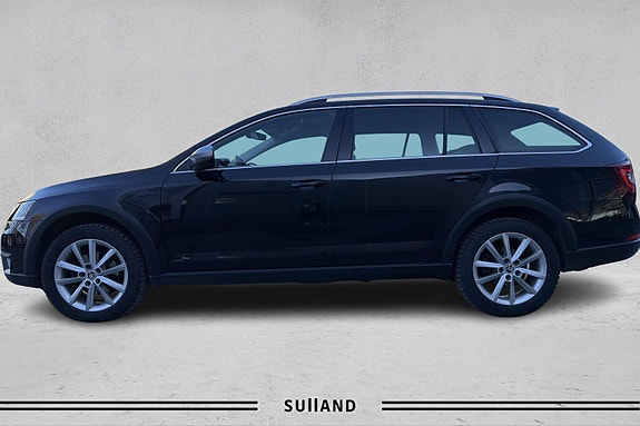 Skoda Octavia Scout - bilde 2