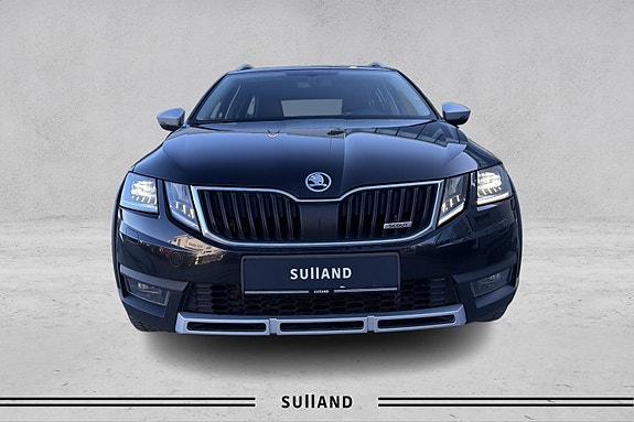 Skoda Octavia Scout - bilde 8