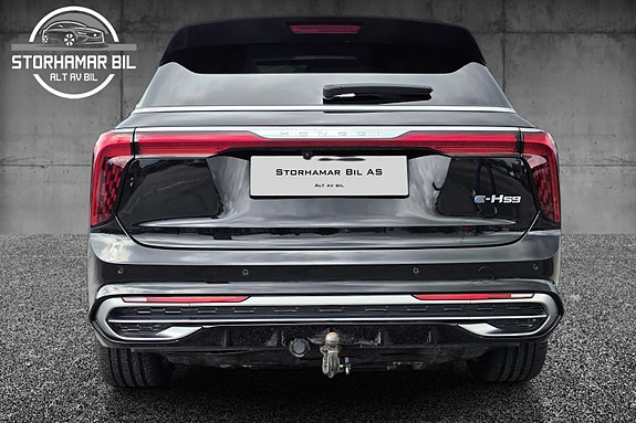 Hongqi 8 of 30
