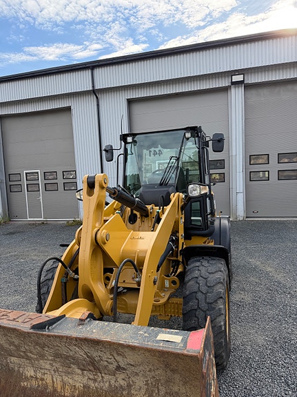 Cat 908 M 9 of 13
