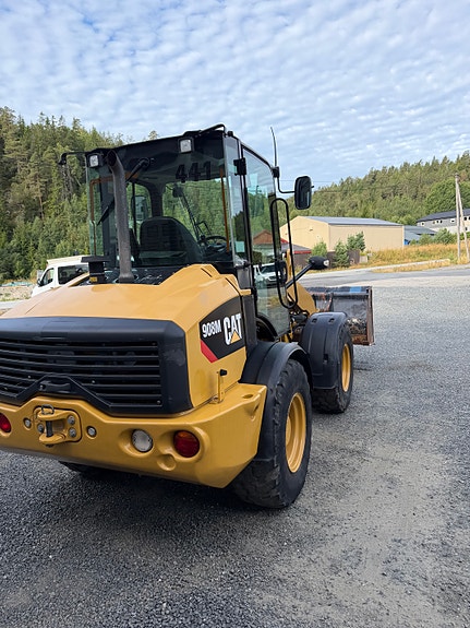 Cat 908 M 6 of 13