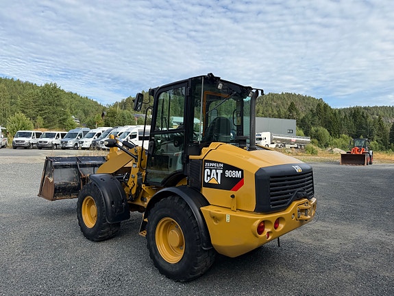 Cat 908 M 4 of 13