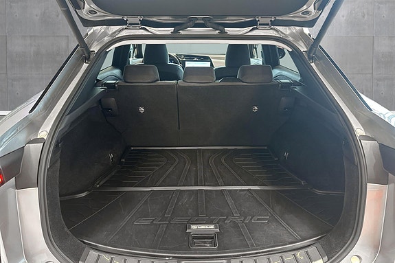 Lexus RZ450e 20 of 30