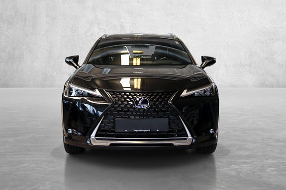 Lexus UX300e 9 of 19