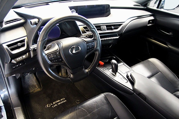 Lexus UX300e 12 of 19