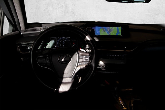 Lexus UX300e 18 of 19