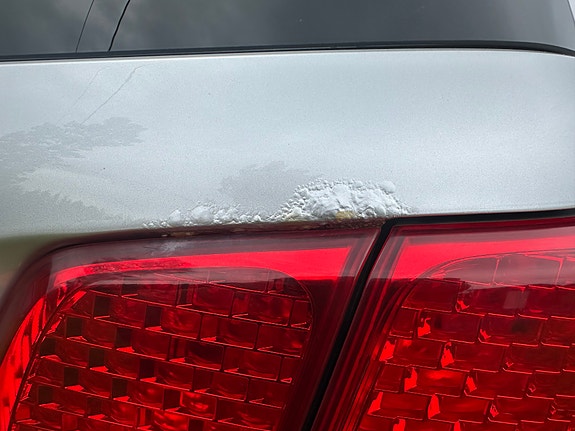 Kia Sorento 14 of 19