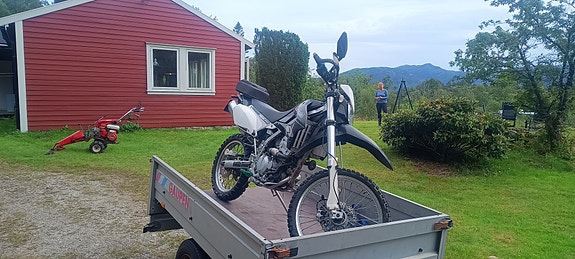 Kawasaki KLX 250 3 of 6
