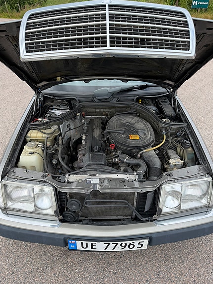 Mercedes-Benz 260 E 17 of 19