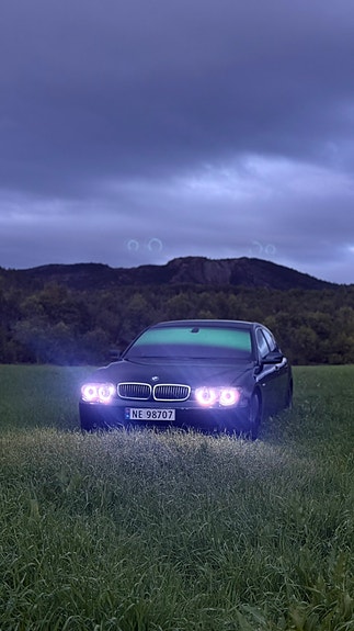 BMW 730d 6 of 13