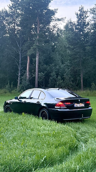 BMW 730d 4 of 13