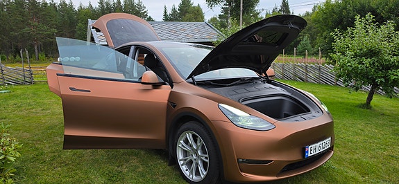 Tesla Model Y 17 of 18