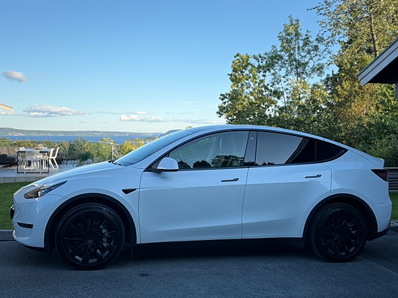 Tesla Model Y 3 of 20