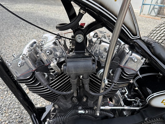 Harley-Davidson Chopper Trike 17 of 30