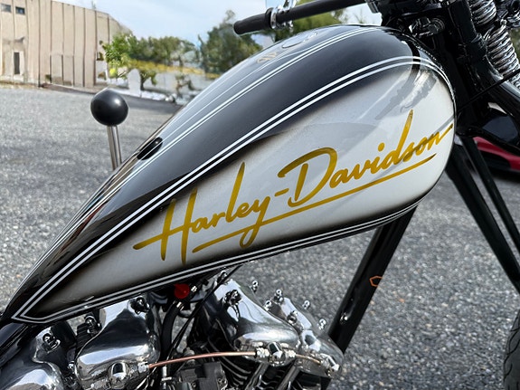 Harley-Davidson Chopper Trike 11 of 30