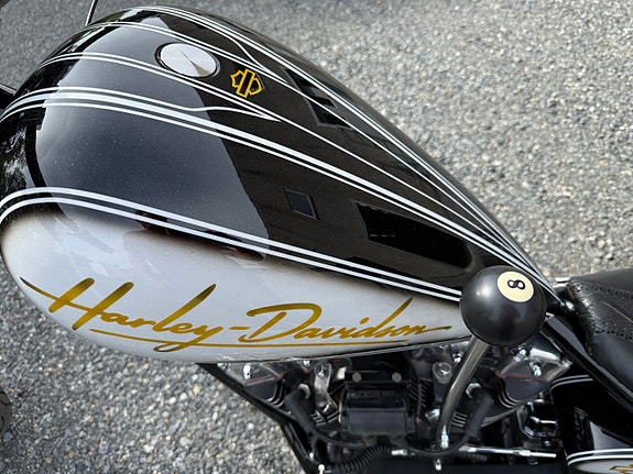 Harley-Davidson Chopper Trike 19 of 30