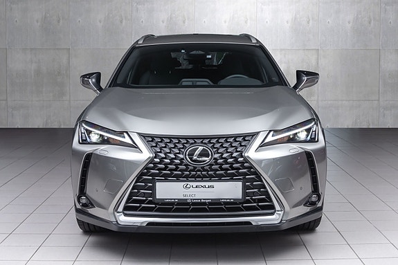 Lexus UX300e 9 of 30