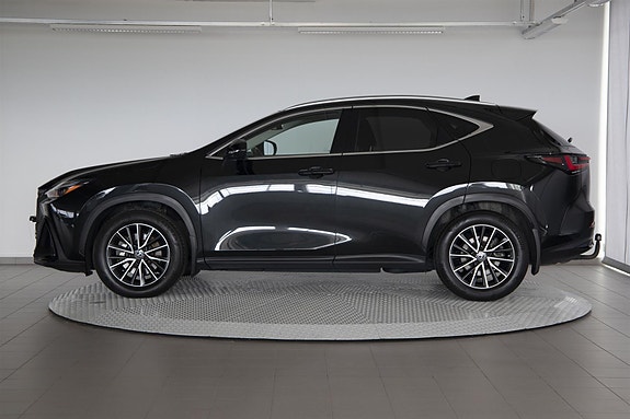 Lexus NX450h 8 of 29