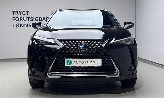 Lexus UX300e 6 of 30