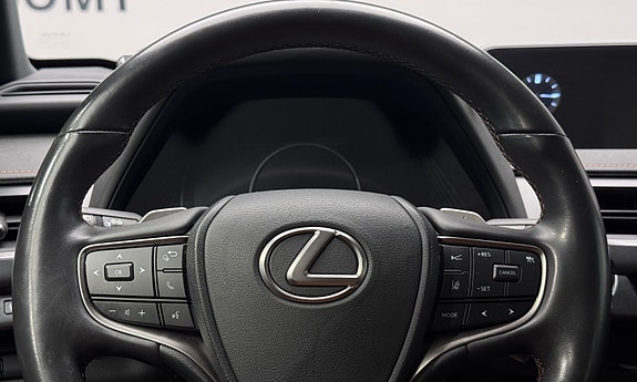 Lexus UX300e 20 of 30